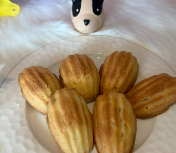 강아지 마들렌 수제간식